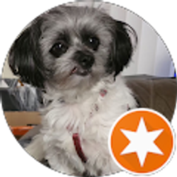 Profile photo of tim thomas