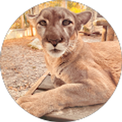 Profile photo of Quashima Isaac