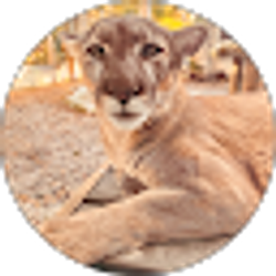 Profile photo of Quashima Isaac