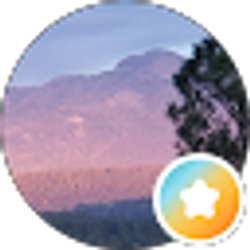 Profile photo of R Sei