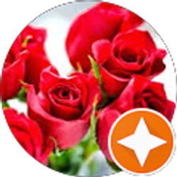 Profile photo of Rose Berman