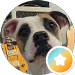 Profile photo of Will K