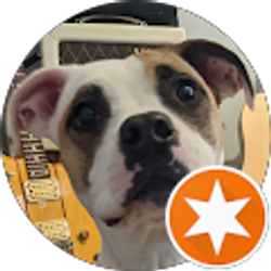 Profile photo of Will K