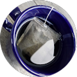 Profile photo of Kayleigh Harrier