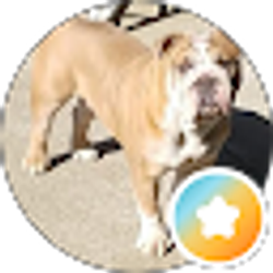 Profile photo of Vince Rodillas (Tak2much)