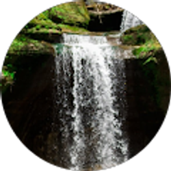 Profile photo of Nate Dennier