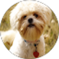 Profile photo of Fairryn Davis