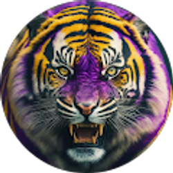 Profile photo of Jules Weitsen