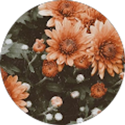 Profile photo of Britt Hanson