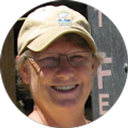 Profile photo of Sue Edwards