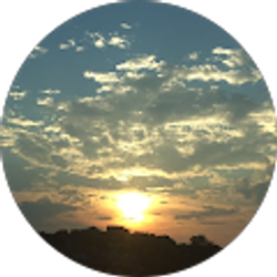 Profile photo of Travis Milgo