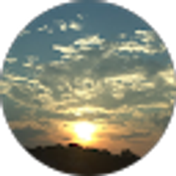 Profile photo of Travis Milgo