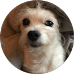 Profile photo of Marcie Perskin