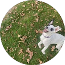 Profile photo of Tiffany Mummert