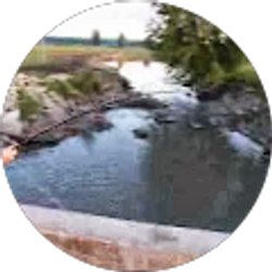 Profile photo of Liz Wright