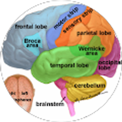 Profile photo of aldamysteriosa1