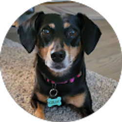 Profile photo of Courtney Bahr