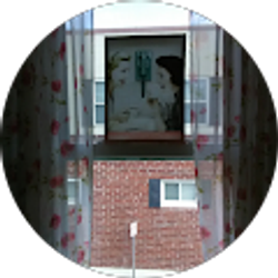 Profile photo of Tom Schrenk