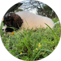 Profile photo of Jenna Hull