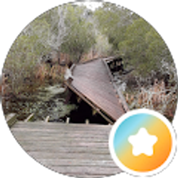 Profile photo of Miao-Fang Lin