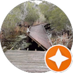 Profile photo of Miao-Fang Lin