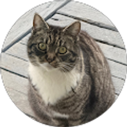 Profile photo of Sinisloth (Sinisloth)