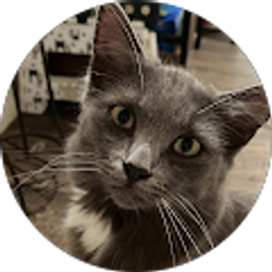 Profile photo of Ashley Hamby