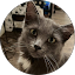 Profile photo of Ashley Hamby