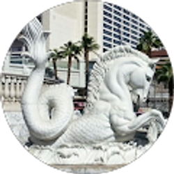 Profile photo of Ocean Equestrian