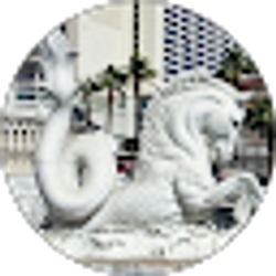 Profile photo of Ocean Equestrian