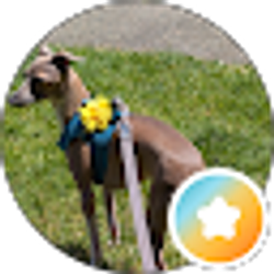 Profile photo of Moriah