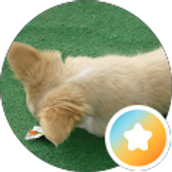 Profile photo of Valeria Meza