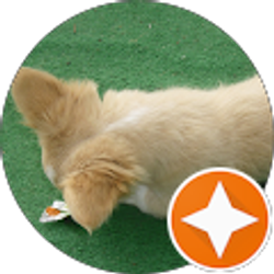 Profile photo of Valeria Meza