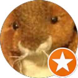 Profile photo of Sergio