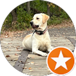 Profile photo of Jodie Burchard-Miller