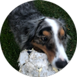 Profile photo of barlow savidge