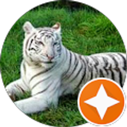 Profile photo of Denis Gough