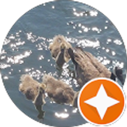 Profile photo of Tiffany McGill