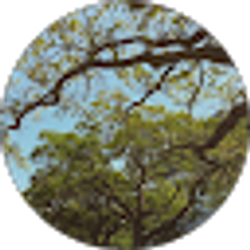 Profile photo of Angelina Vizuete