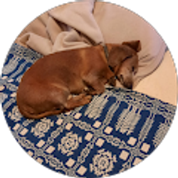 Profile photo of Fred Byrd