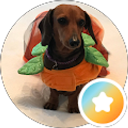 Profile photo of Booth