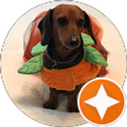 Profile photo of Booth