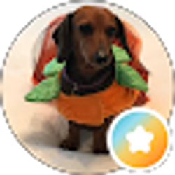 Profile photo of Booth