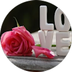 Profile photo of Lucy