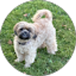 Profile photo of monah doss