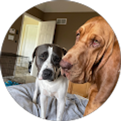 Profile photo of Susan Lamey