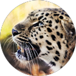 Profile photo of John Griffel