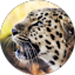 Profile photo of John Griffel