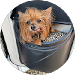 Profile photo of Kay Sillis