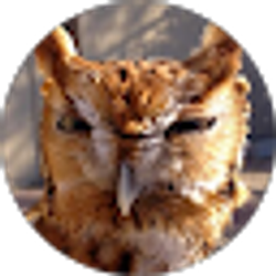 Profile photo of Katherine Harper